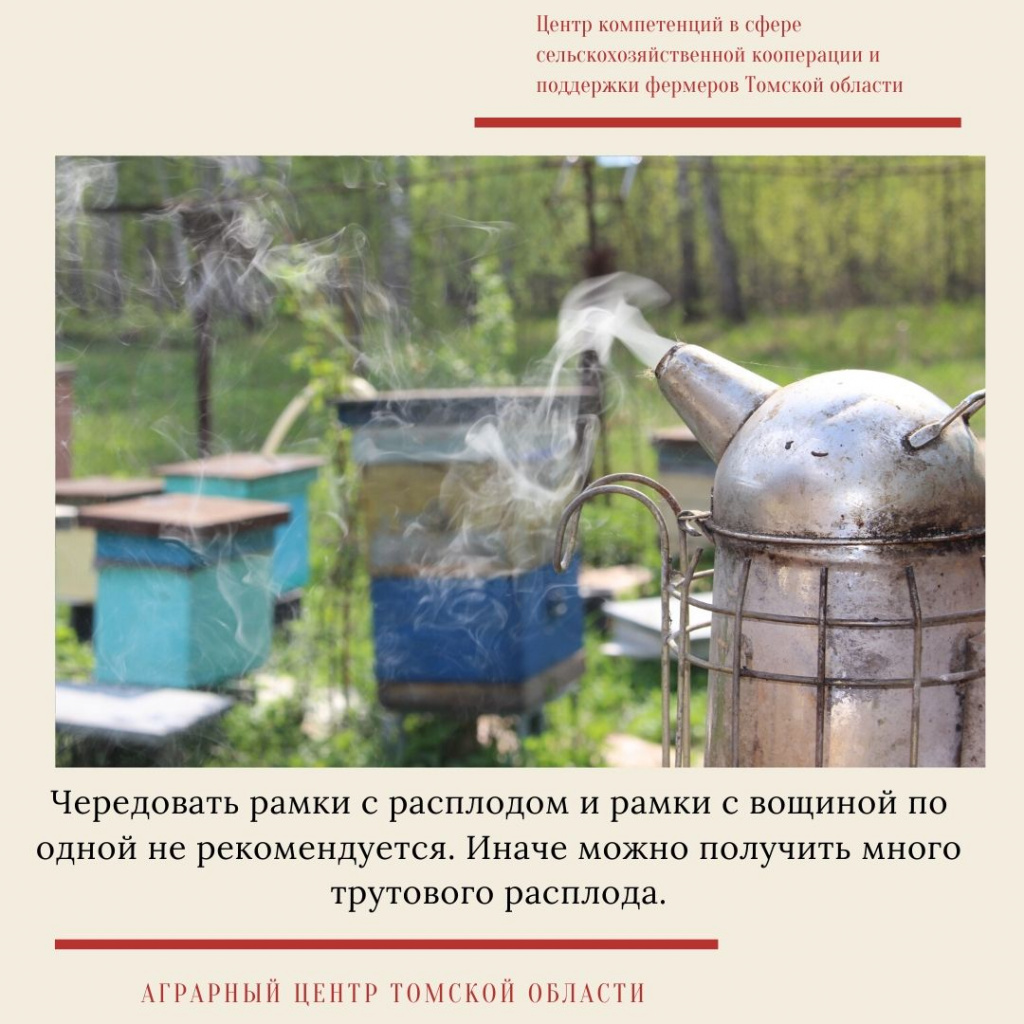 мастер-класс  8.jpg